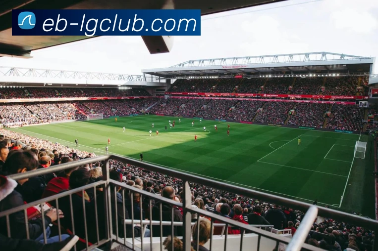 老哥俱乐部官网平台生态图