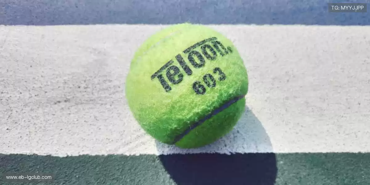 🎯 专业装备，让你的每一次挥拍都精准如冠军！